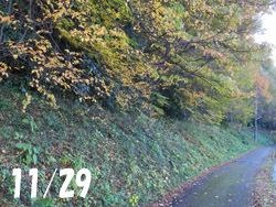 151230_shamen1.jpg
