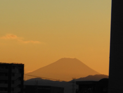160101_fuji1.jpg