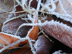 160131_simo03.jpg