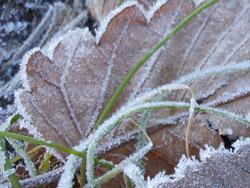 160131_simo04.jpg