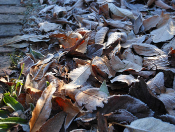 160131_simo05.jpg