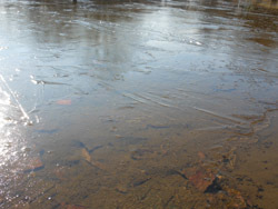 160131_simo06.jpg