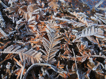 160131_simo09.jpg