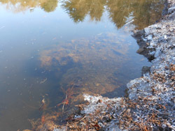 160131_simo10.jpg