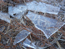 160131_simo11.jpg
