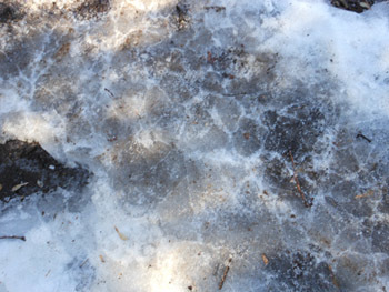 160201_yuki09.jpg