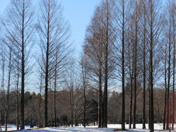 160201_yuki14.jpg