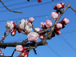160316_bumgo_u1.jpg