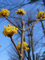 160412_sanshuyu1.jpg