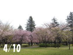 160507_park.jpg