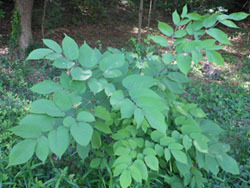 160817_udo.jpg