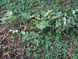 161018_udo1.jpg