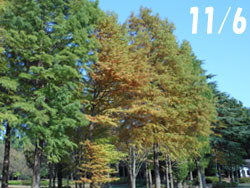 161212_rakuusho1.jpg