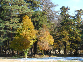 161217_park2.jpg