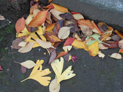 161222_ityo.jpg