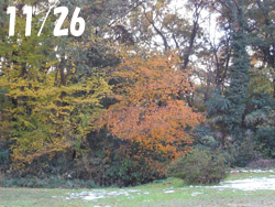 161222_park1.jpg