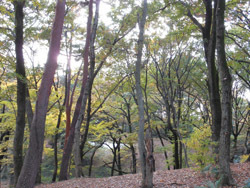 161222_park3.jpg