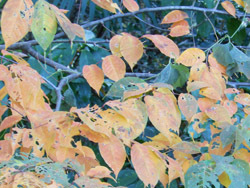 161222_uwamizu_z.jpg