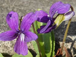 161227_ariake_s2.jpg