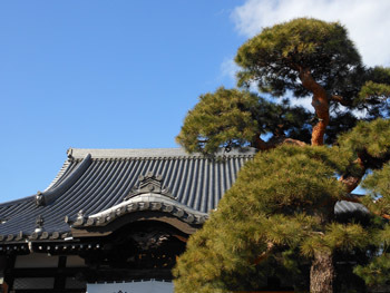 170109_shogatu16.jpg