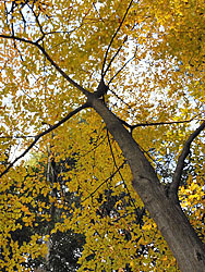 170111_inuside2.jpg