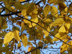 170111_inuside3.jpg