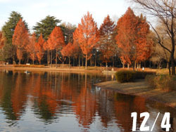 170111_park.jpg