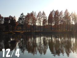 170112_park.jpg