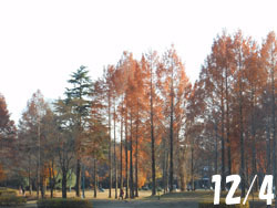 170113_park.jpg