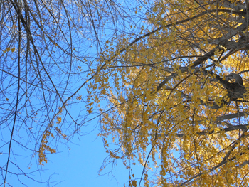 170114_ityo2.jpg