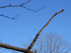 170128_aohada6.jpg