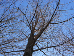 170222_ityo3.jpg