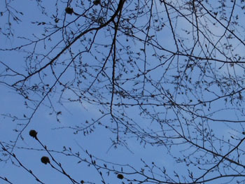 170418_inuside1.jpg
