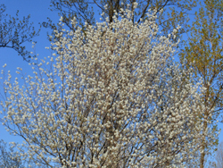 170515_june_b1.jpg