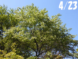 170528_uamizu_z1.jpg