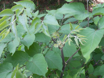 170904_udo.jpg