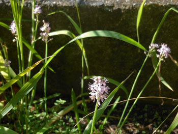 170920_turubo2.jpg