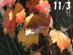 171118_kiduta.jpg