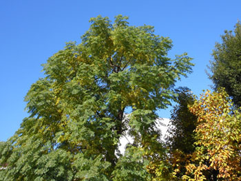 171130_outi1.jpg