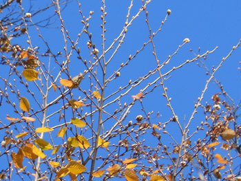 171210_inuside.jpg