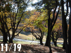 171218_park1.jpg