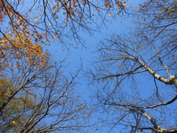 171221_mizu_kobu.jpg