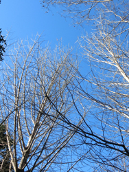 180130_ityo1.jpg