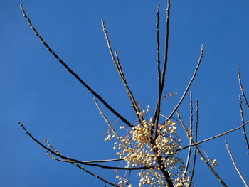 180131_outi3.jpg