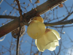 180206_robai4.jpg
