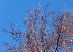 180211_inuside1.jpg