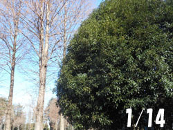 180214_k_mokusei1.jpg
