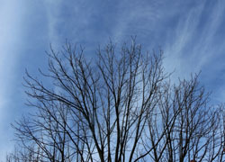 180214_sujigumo.jpg