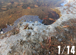 180226_ike1.jpg