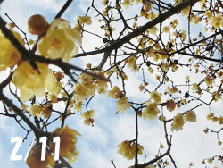 180226_s_roubai1.jpg